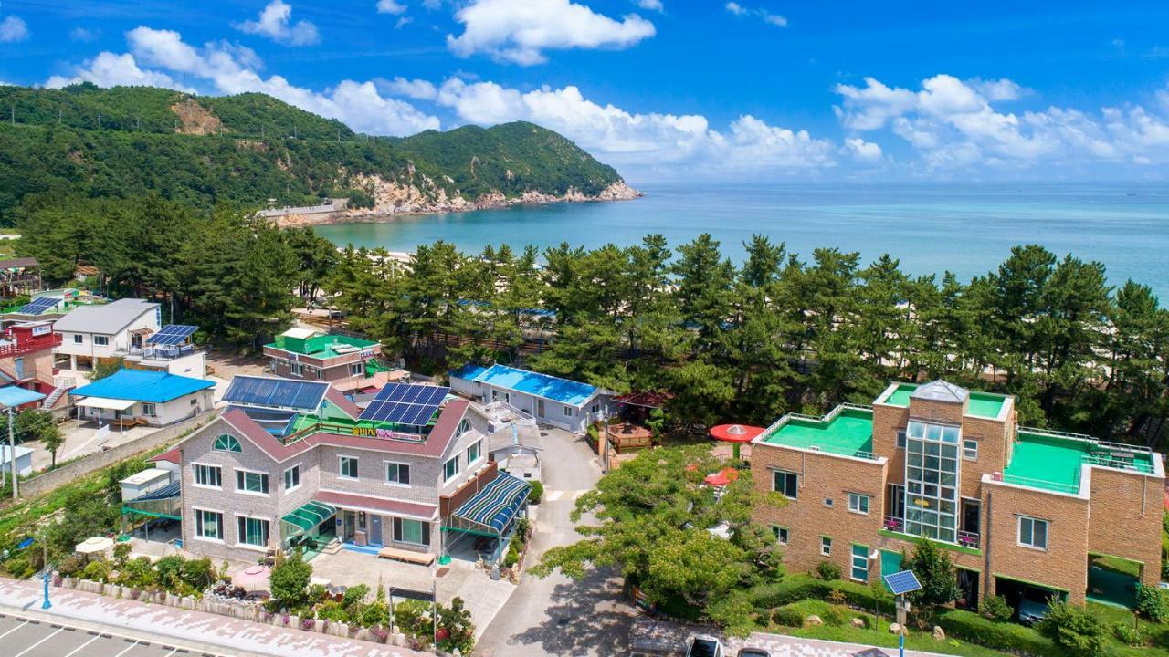 Samcheok Sol Beach Pension Bagian luar foto